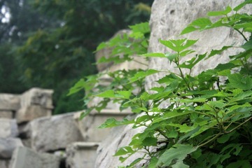 照片 044.jpg
