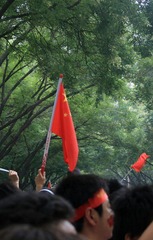 照片 011.jpg