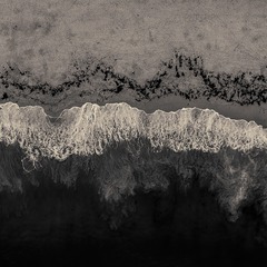 1000021081