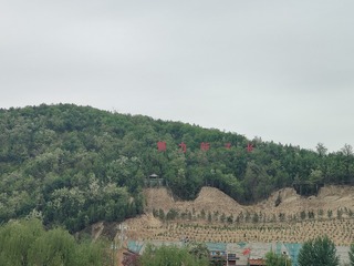 1000057195