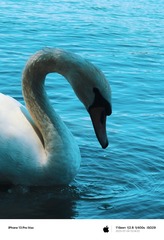 C95DBB52-55F6-4E47-A624-3F65966BE189/L0/001