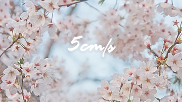 樱花5