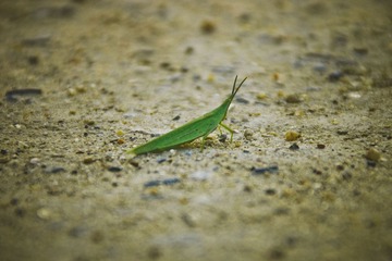 _DSC9345.jpg