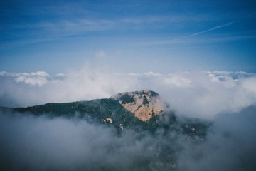 _DSC3774.jpg