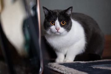 A7D81904-DBDE-4657-8AED-29E3B1F3E332/L0/001