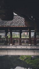 9E8926CD-7968-433D-972F-40F533E7B01D/L0/001