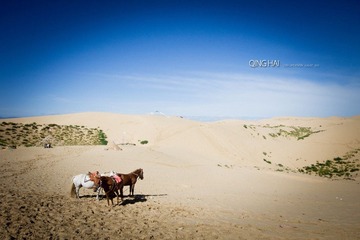 IMG_7609.jpg