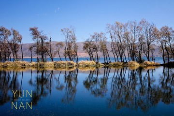 IMG_6560-1.jpg