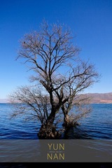 IMG_6567-1.jpg