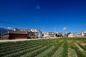 IMG_6609-7.jpg