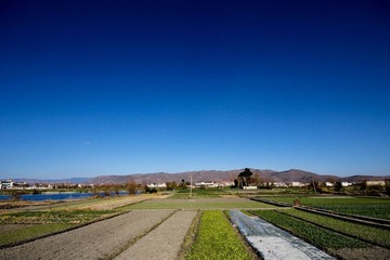 IMG_6730-1.jpg