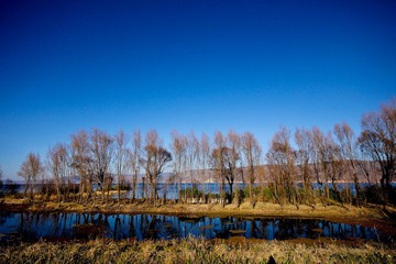 IMG_6799-13.jpg