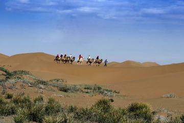 IMG_0686-2