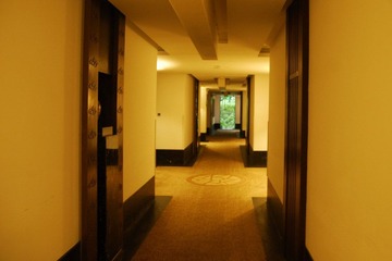 DSC7352