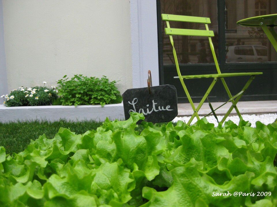 Paris1<br />
