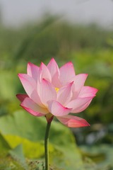 通透。。。。