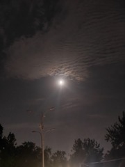 1000058491