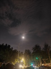 1000058498