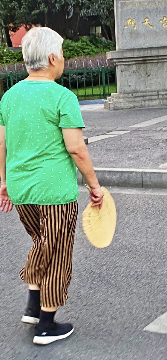 摇蒲扇的奶奶已经白发