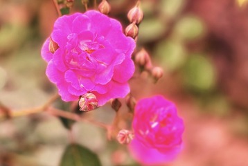 3E83D919-688D-4F83-A0AB-DFDE2710A51B/L0/001