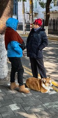 B0D6B1E2-2634-4ABB-994C-4A57A01CF742/L0/001