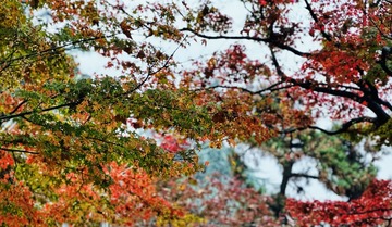 A29C0BE2-D71E-4565-AE64-94D20A461793/L0/001