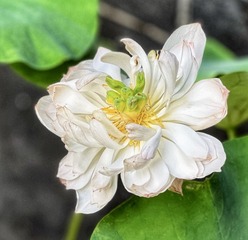 D3D35031-74BE-42DB-A730-76B9EEB9BD87/L0/001