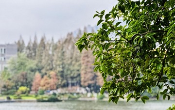 2C92196D-8301-4B26-B81E-48333D0426AF/L0/001