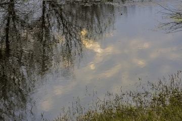 1316129