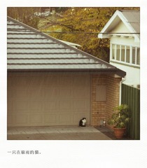 JoyWang_4244