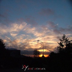 DSCF6787