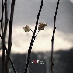 DSCF6742