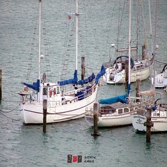 DSCF6731
