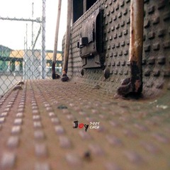 DSCF6473