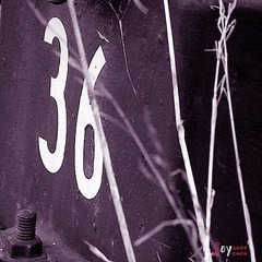 DSCF6421