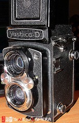 DSCF6337