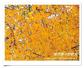 DSCF5738
