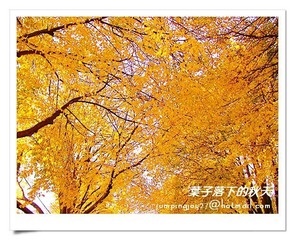 DSCF5735