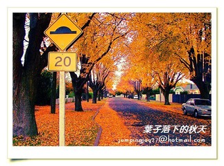 DSCF5728