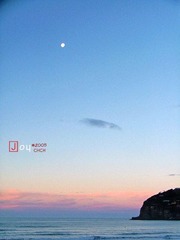 DSCF7384