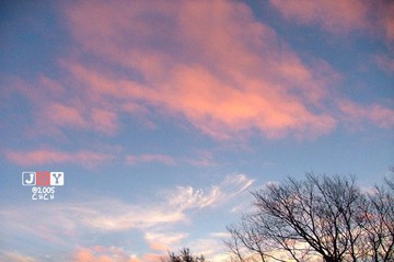 DSCF6797