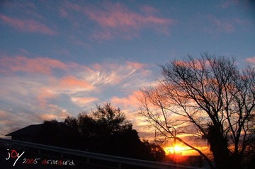 DSCF6792