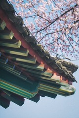 DSC_4847-编辑-编辑-编辑-编辑-编辑-编辑