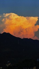 8D437355-0D9E-4BA7-AEC7-AD6E234C00BC/L0/001