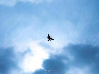 111076