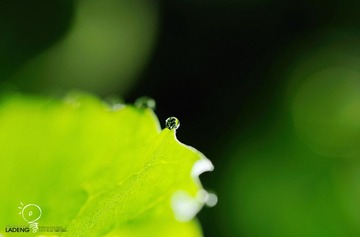 DSC_4957.jpg