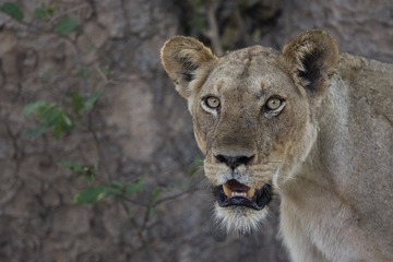 DSC_5755.jpg
