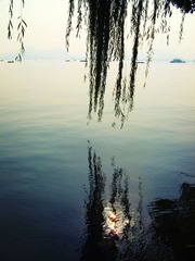 IMG_4707_副本.jpg