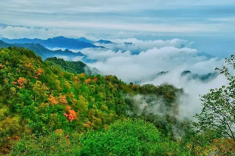 秦岭云海