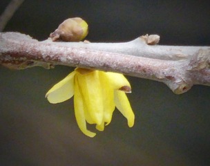 602010